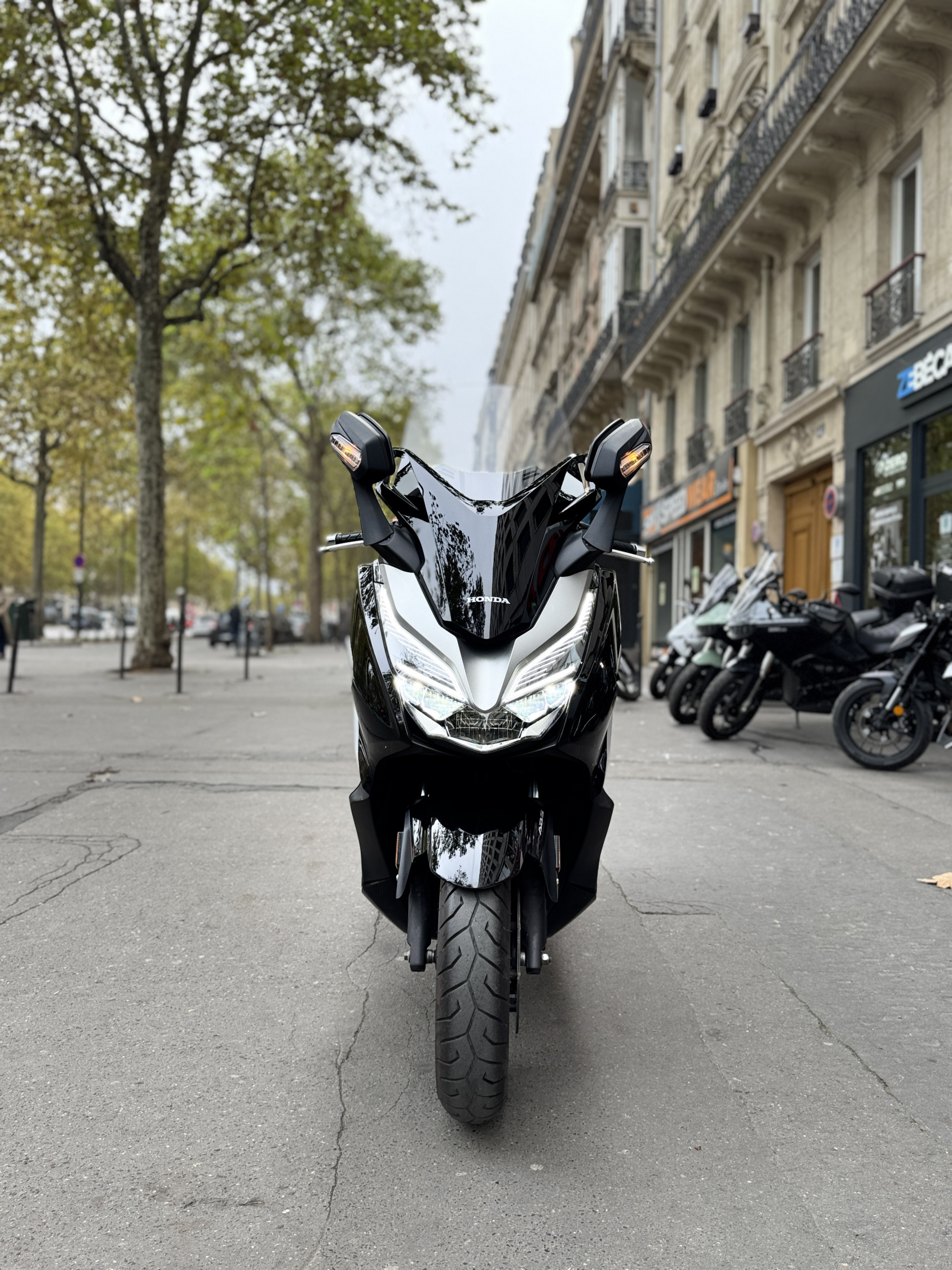 HONDA NSS FORZA 300 A - NOIR - 3790 € - 9274 KM - MEC01/2020 - REF FM249WH